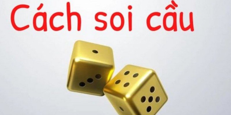 Cách chơi hiệu quả cho người mới